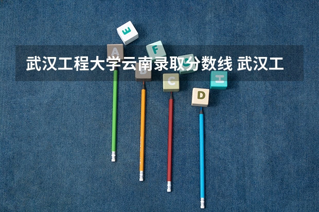 武汉工程大学云南录取分数线 武汉工程大学云南招生人数