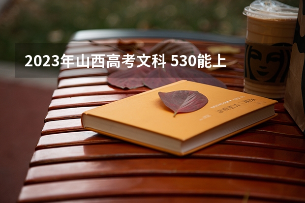 2023年山西高考文科 530能上什么大学