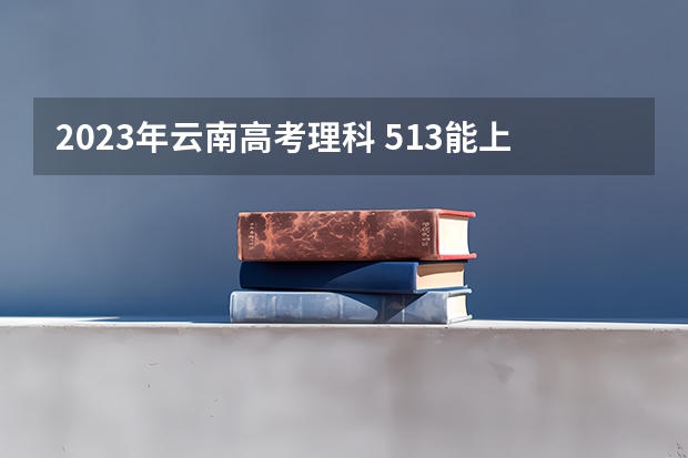 2023年云南高考理科 513能上什么大学