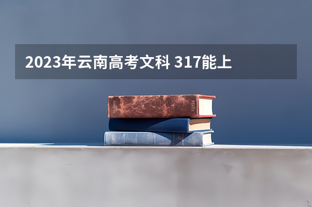2023年云南高考文科 317能上什么大学