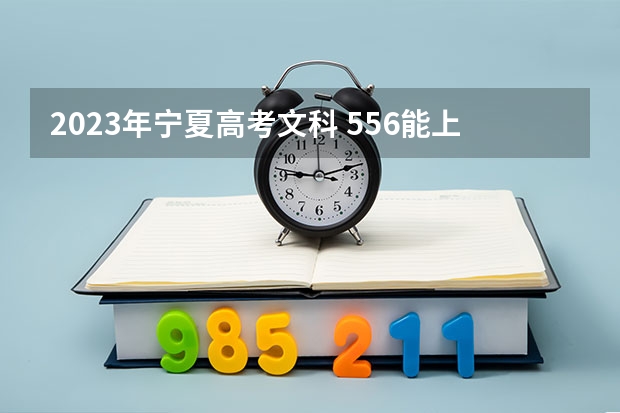 2023年宁夏高考文科 556能上什么大学