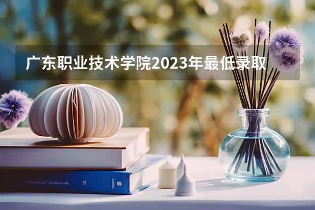 广东职业技术学院2023年最低录取分数是多少 广东大学往年录取分数线参考