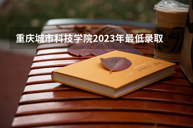 重庆城市科技学院2023年最低录取分数是多少 重庆大学往年录取分数线参考