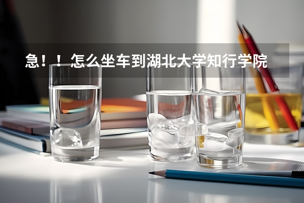 急！！怎么坐车到湖北大学知行学院