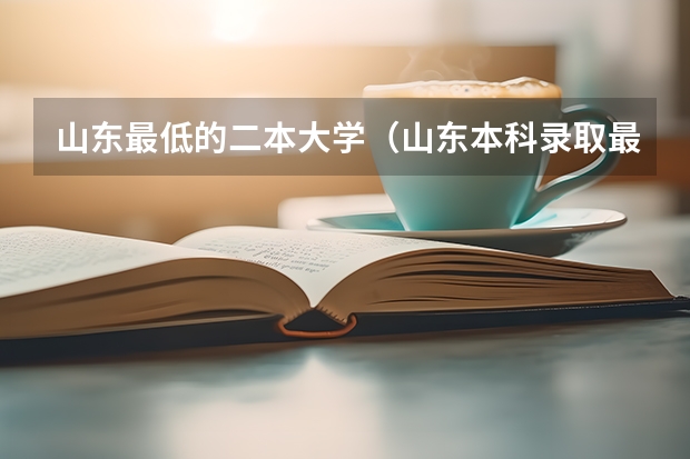山东最低的二本大学（山东本科录取最低位次）