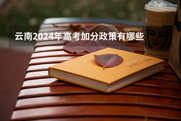 云南2024年高考加分政策有哪些