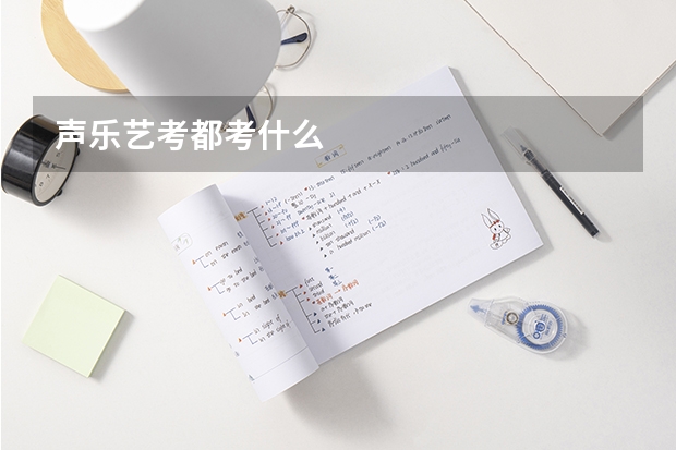 声乐艺考都考什么