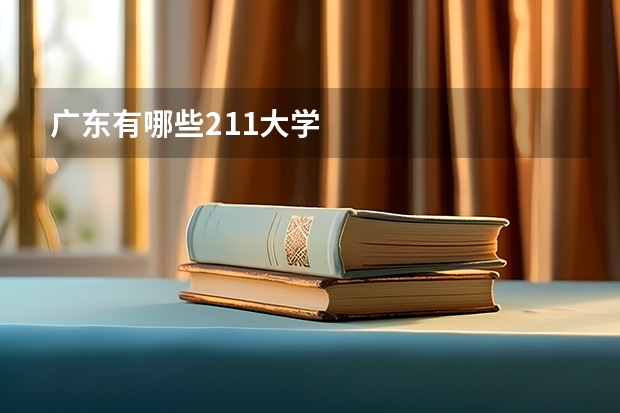 广东有哪些211大学