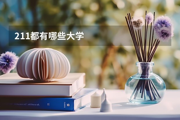 211都有哪些大学