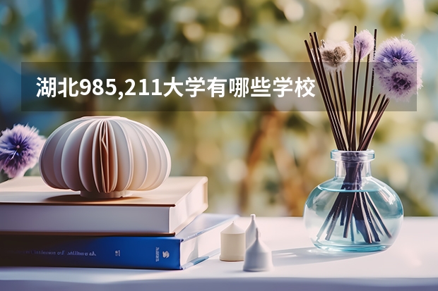 湖北985,211大学有哪些学校