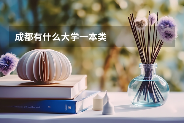 成都有什么大学一本类