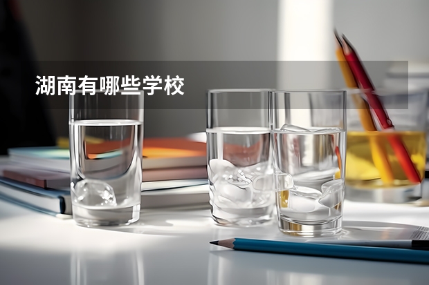 湖南有哪些学校