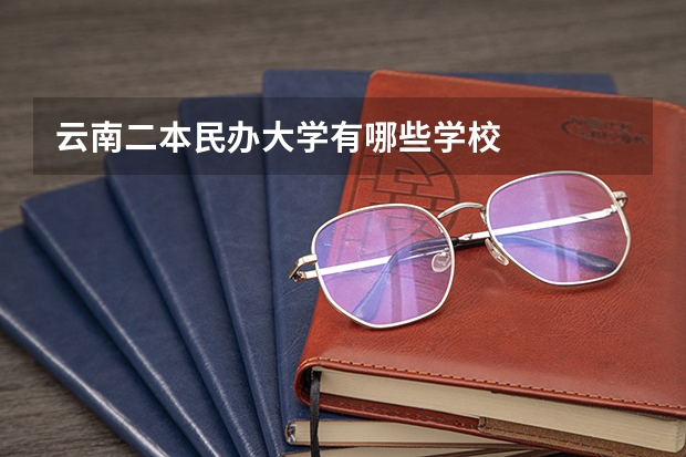 云南二本民办大学有哪些学校