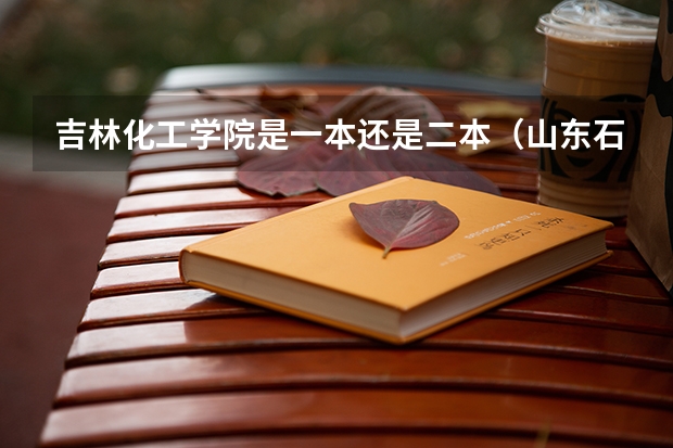 吉林化工学院是一本还是二本（山东石油化工学院是几本大学）