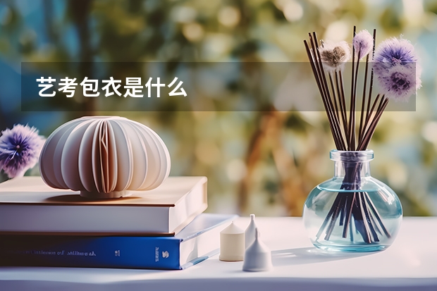 艺考包衣是什么
