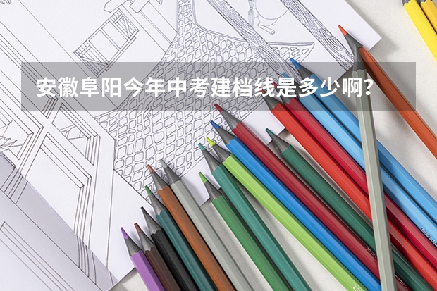 安徽阜阳今年中考建档线是多少啊？