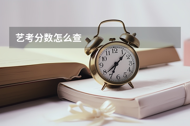 艺考分数怎么查
