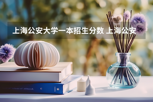 上海公安大学一本招生分数 上海公安学院录取分数线