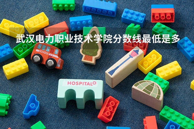 武汉电力职业技术学院分数线最低是多少