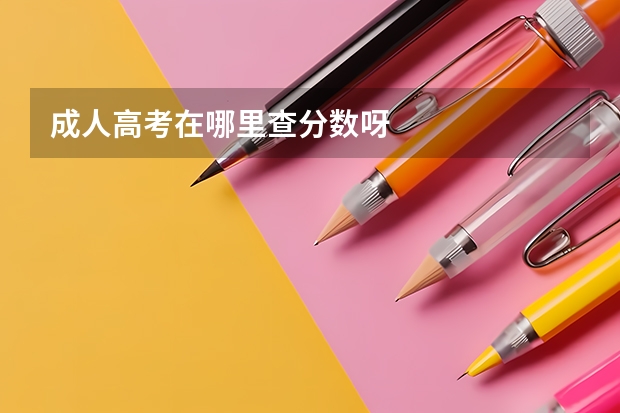 成人高考在哪里查分数呀