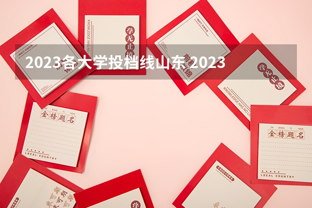 2023各大学投档线山东 2023年各高校投档线山东