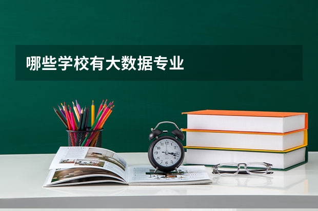 哪些学校有大数据专业