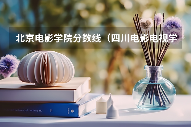 北京电影学院分数线（四川电影电视学院排名）