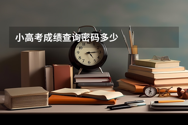 小高考成绩查询密码多少