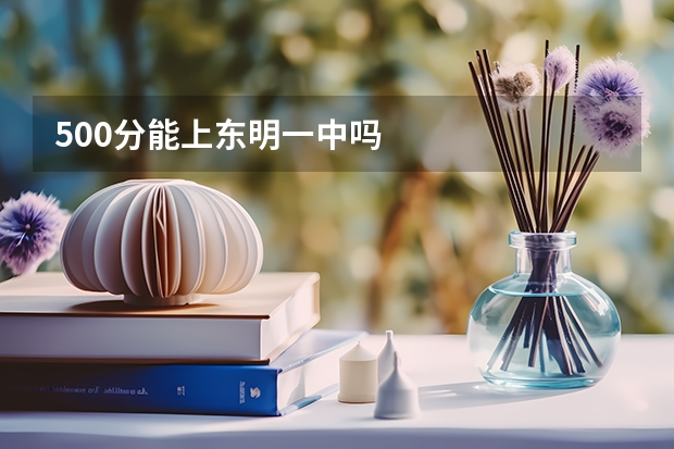 500分能上东明一中吗