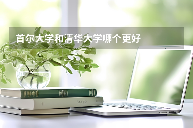 首尔大学和清华大学哪个更好