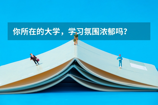 你所在的大学，学习氛围浓郁吗？