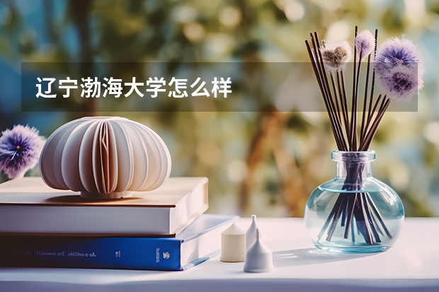 辽宁渤海大学怎么样