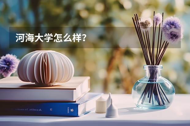河海大学怎么样？