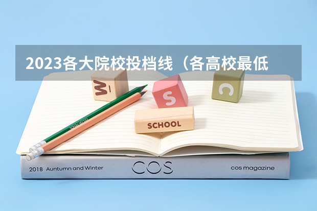 2023各大院校投档线（各高校最低投档线）
