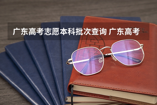 广东高考志愿本科批次查询 广东高考录取查询