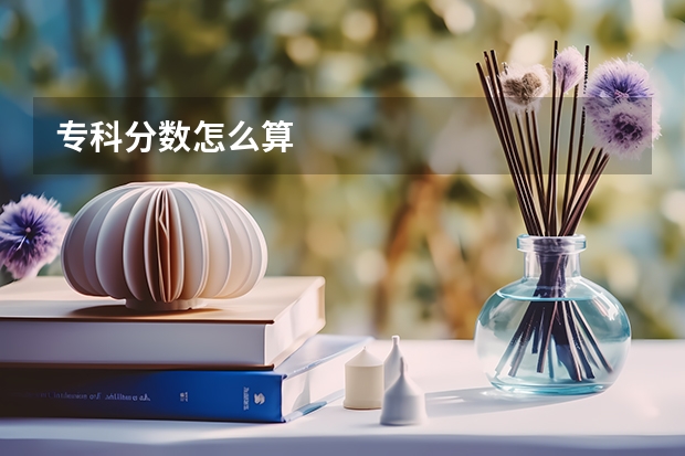 专科分数怎么算