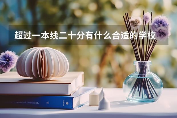 超过一本线二十分有什么合适的学校