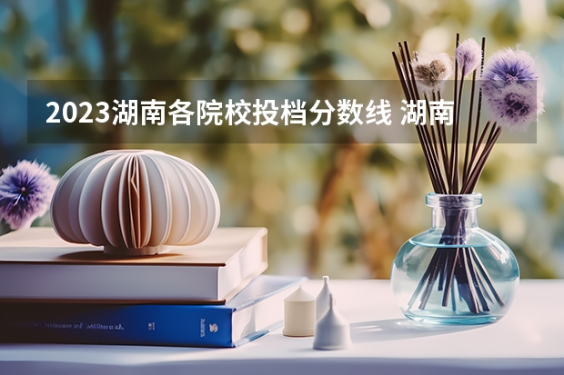 2023湖南各院校投档分数线 湖南各院校投档线公布