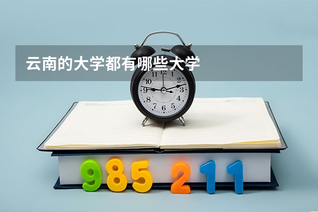 云南的大学都有哪些大学