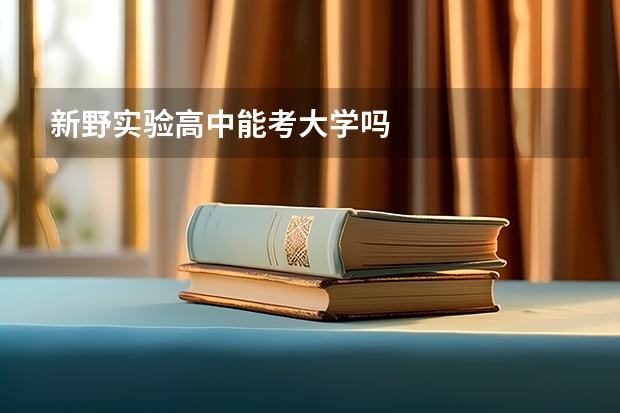 新野实验高中能考大学吗