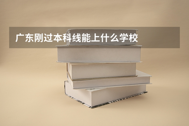 广东刚过本科线能上什么学校