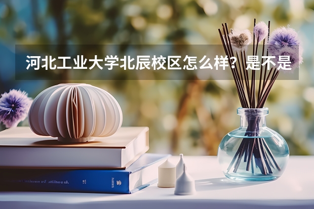 河北工业大学北辰校区怎么样？是不是市中心？