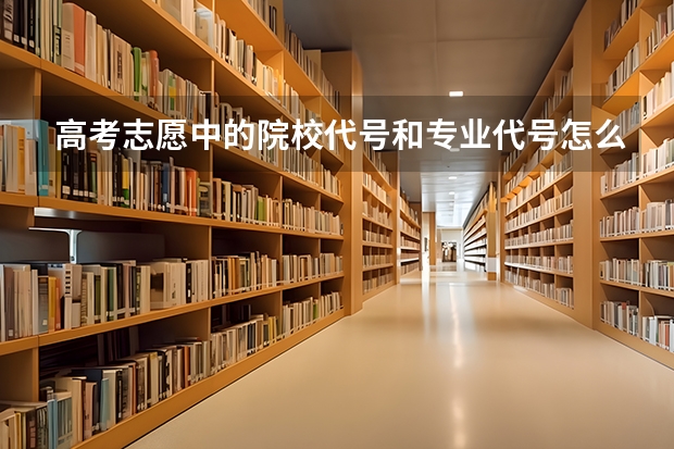 高考志愿中的院校代号和专业代号怎么查找？