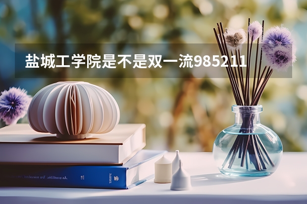 盐城工学院是不是双一流/985/211学校（录取分数参考）