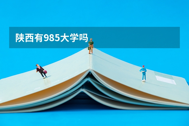 陕西有985大学吗
