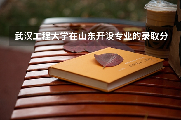 武汉工程大学在山东开设专业的录取分数线