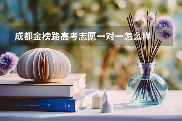 成都金榜路高考志愿一对一怎么样