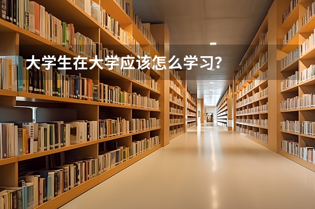 大学生在大学应该怎么学习？