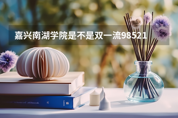 嘉兴南湖学院是不是双一流/985/211学校（录取分数参考）