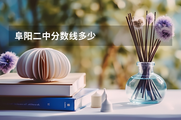 阜阳二中分数线多少